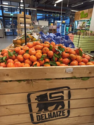 Delhaize Mouscron